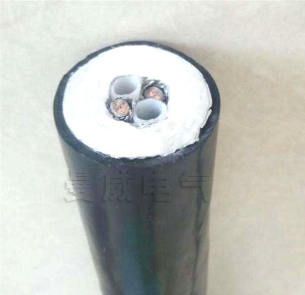 CEMS煙氣在線采集復合管HRFHT-D36-A1¢8b-O-O-C.jpg