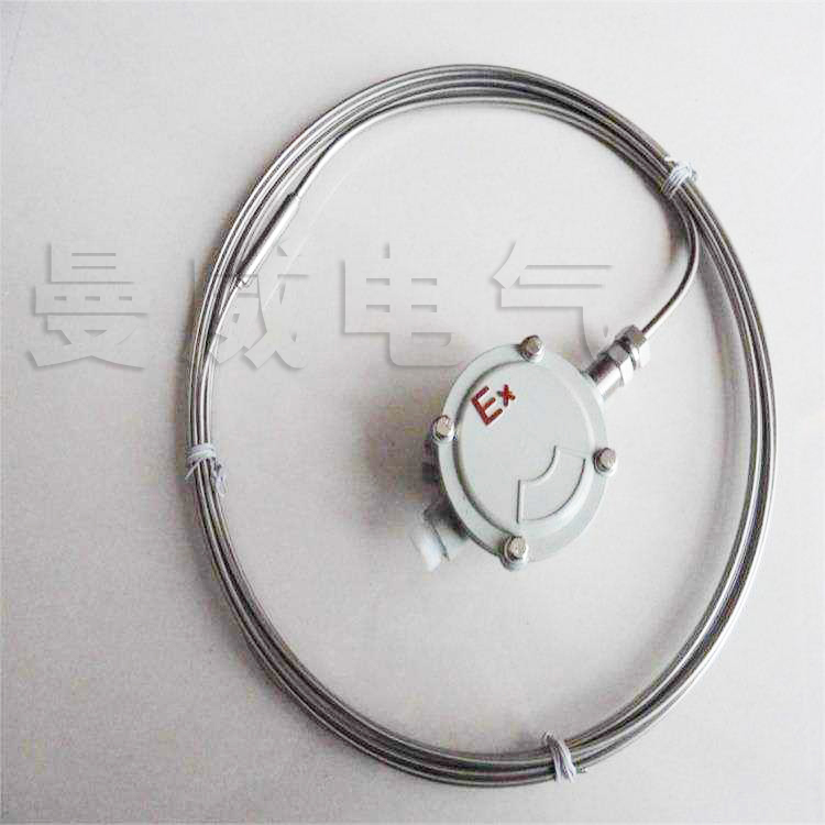 16654553548135.jpg 825合金護套MI加熱電纜.jpg