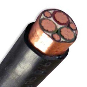 變頻電纜1.jpg