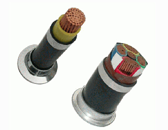 電5.jpg