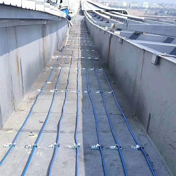 17388932884885.jpg